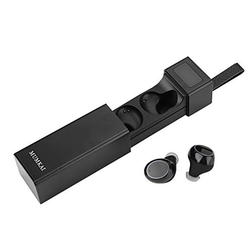 Professional Headset - Wireless Headset