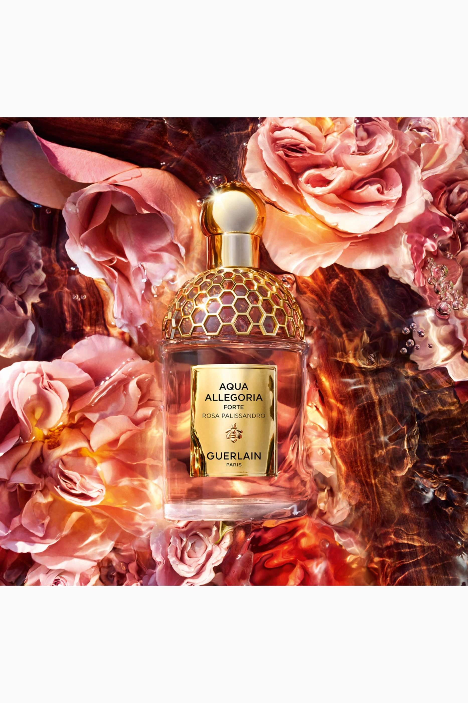 Aqua Allegoria Woody Forte Rosa Palissandro Eau de Parfum 75ml
