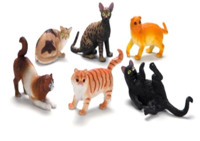 DIMAZO Small Kids Sea & Wild Animal Toys Sets - Generic Animal Figures - Animal Mix 36 yr(s) 12 piece(s)
