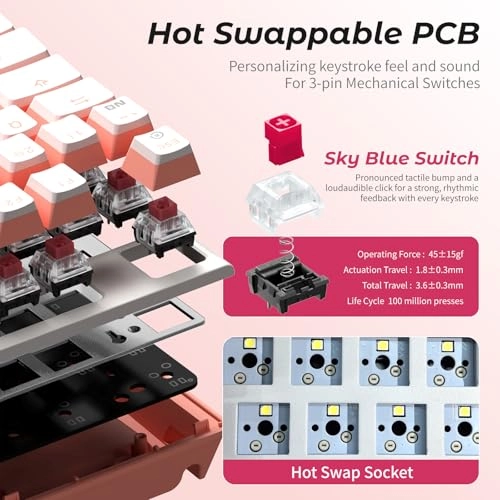 X4 - US Wired/Wireless