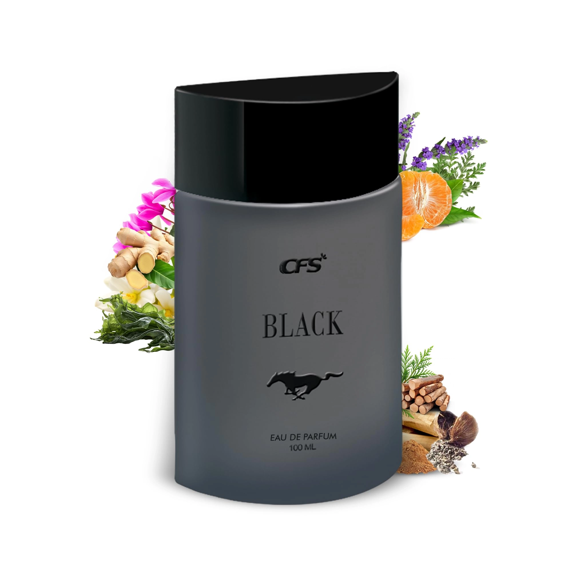 CFS CREATIVE FRAGRANCE SERIES BLACK Eau de Parfum 100ml