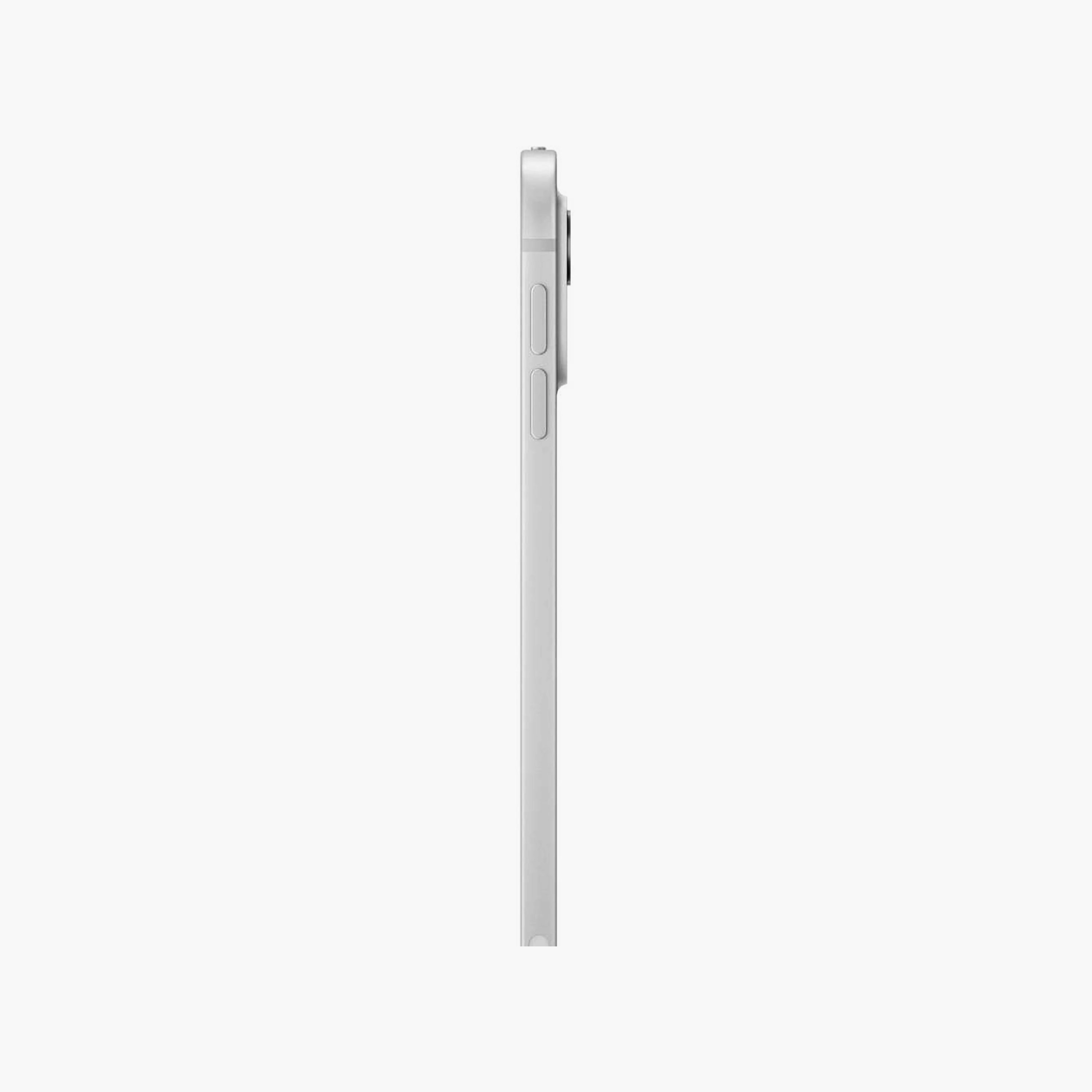 iPad Pro (M4) (2024) - 1000GB 11"