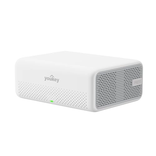 Youkey H310
