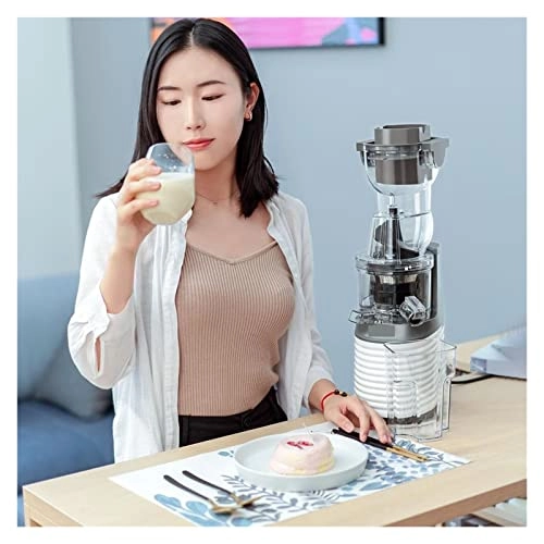 Portable Electric Juicer - Masticating Slow Auger Water-Free