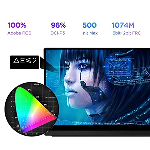 Portable Monitor - FHD 15.6"