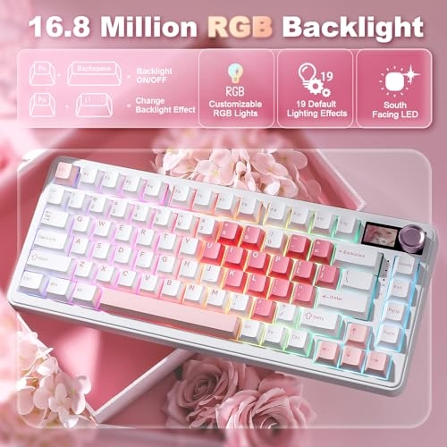 B75 PRO MAX - Wired/Wireless