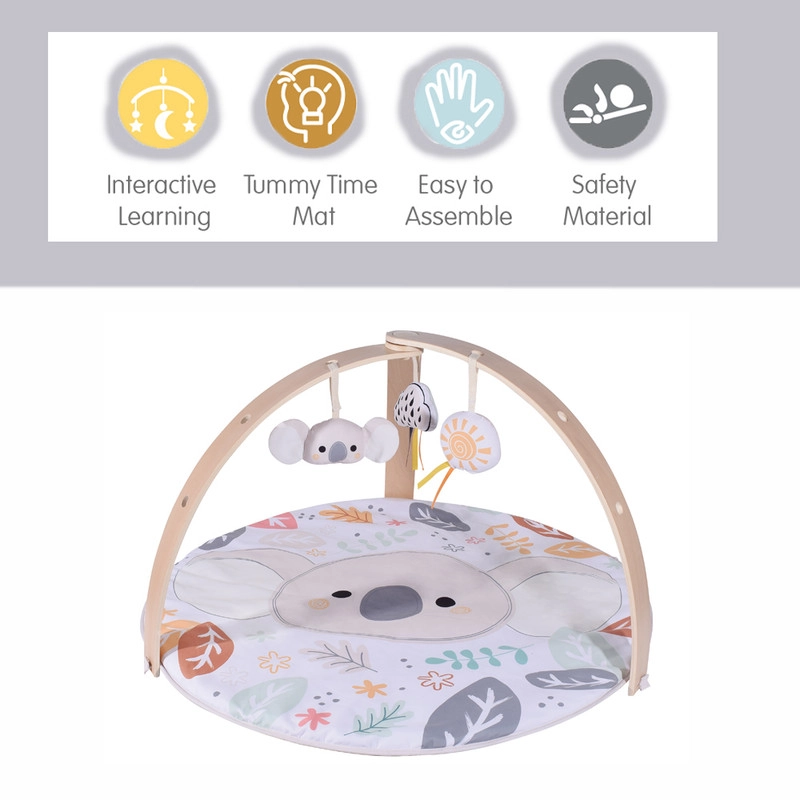 Nyra - Koala 0 month