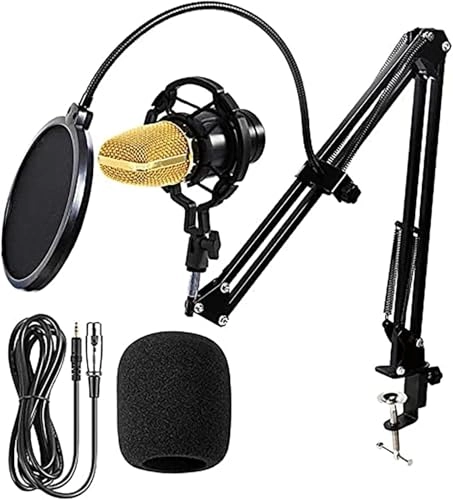 PSKJNKSA240918471 USB Microphone