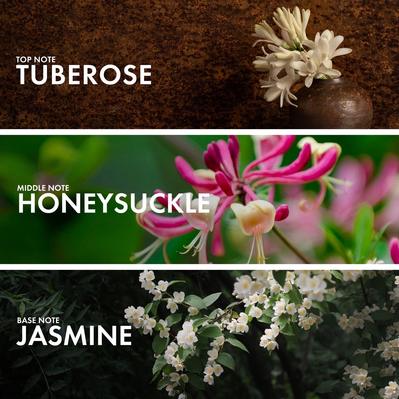 JASMINE AMBERY Eau de Parfum 50ml