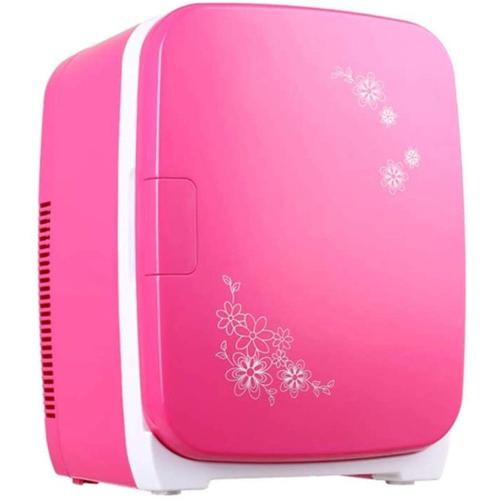 Portable Car Refrigerator - Two-purpose 12V 24V 220V