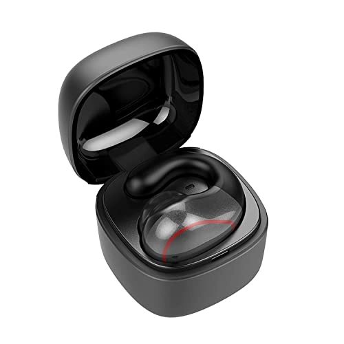 PZ8869 Wireless Earbud