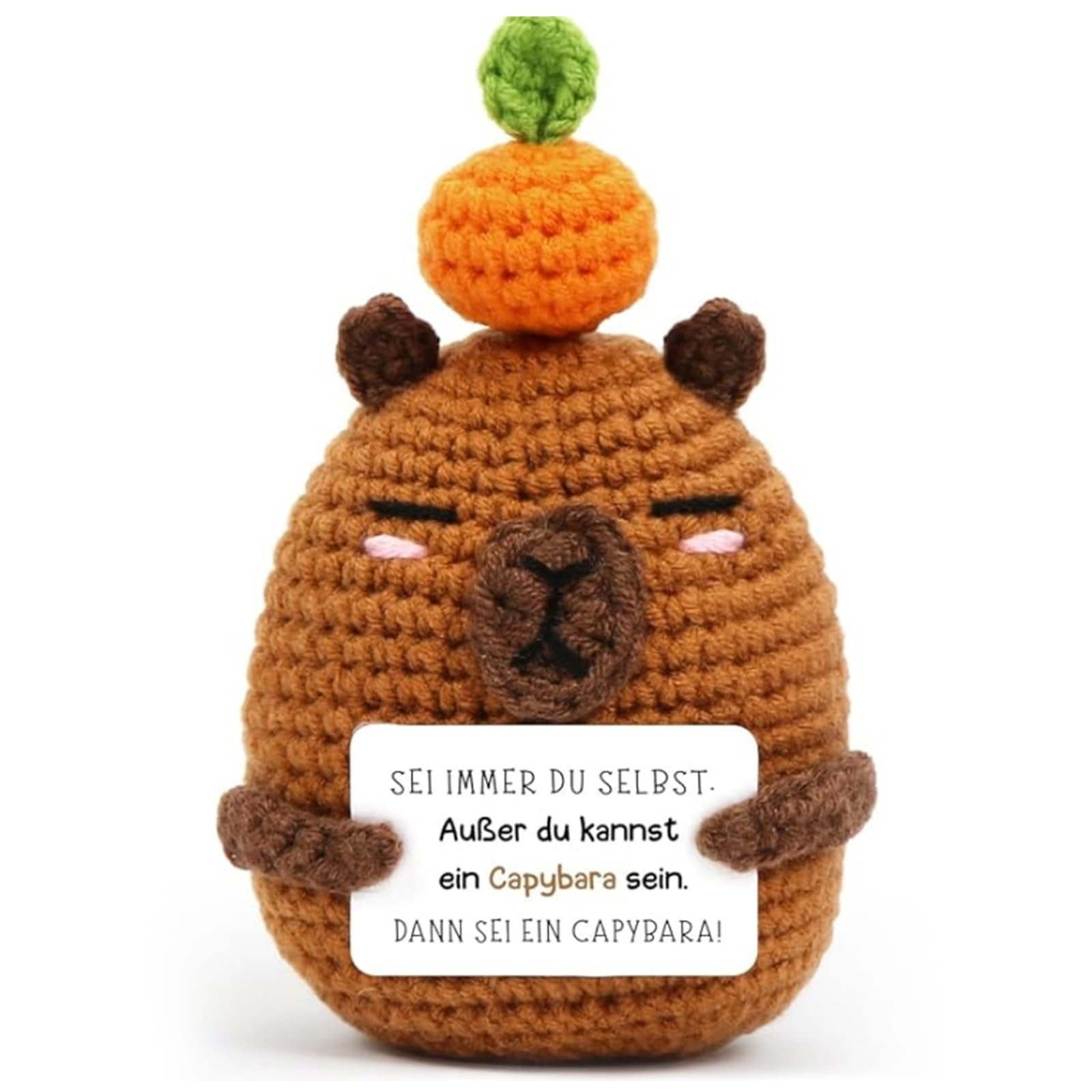 Moiuguli Positive Crochet Collection - Capybara - 11 cm