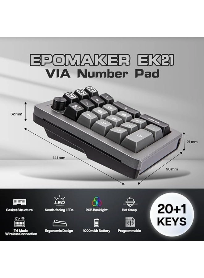 EK21 - Flamingo Switch