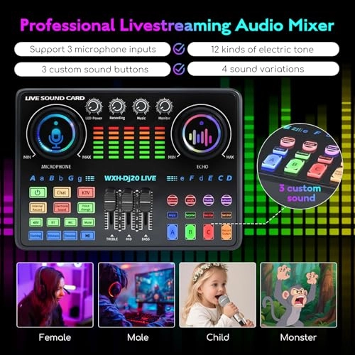 WXH520 + Dj20 USB Microphone
