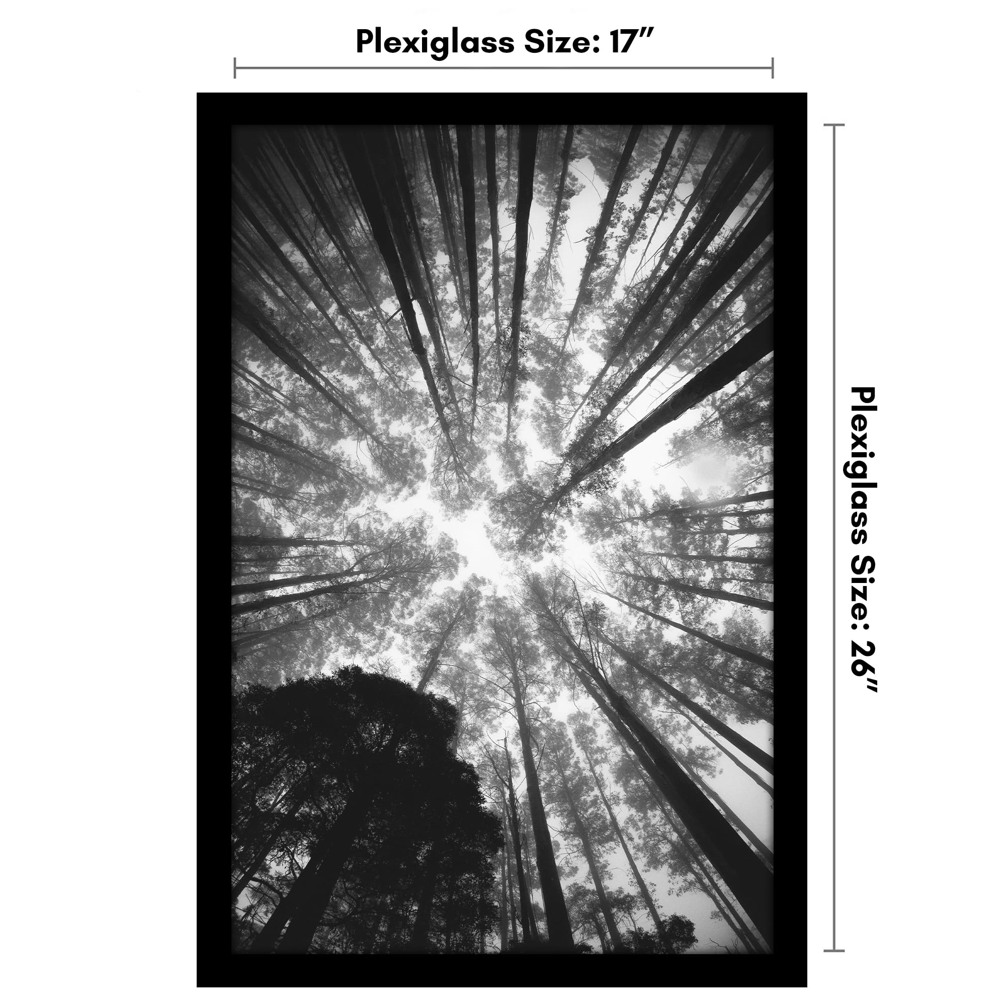 Poster Frame - 17X26 1