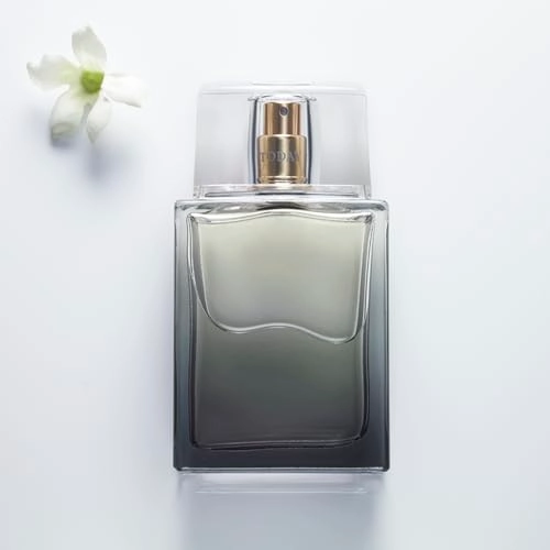 The Moment for Him Eau de Toilette 75ml