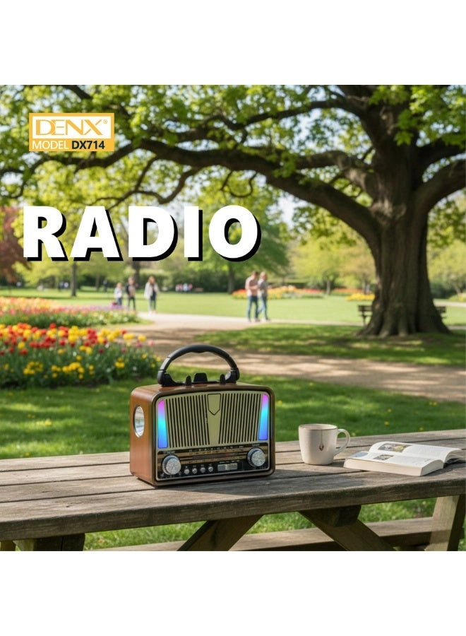 DX714 - Portable Radio