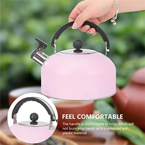 Gooseneck Kettle - Stainless Steel Whistling