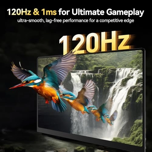 16'' Portable Monitor - 2880x1800