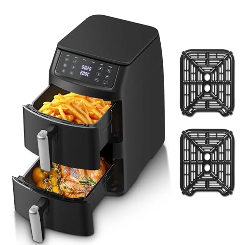 Dual Air Fryer AF1102
