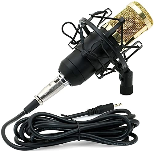 BM-800 USB+XLR Microphone