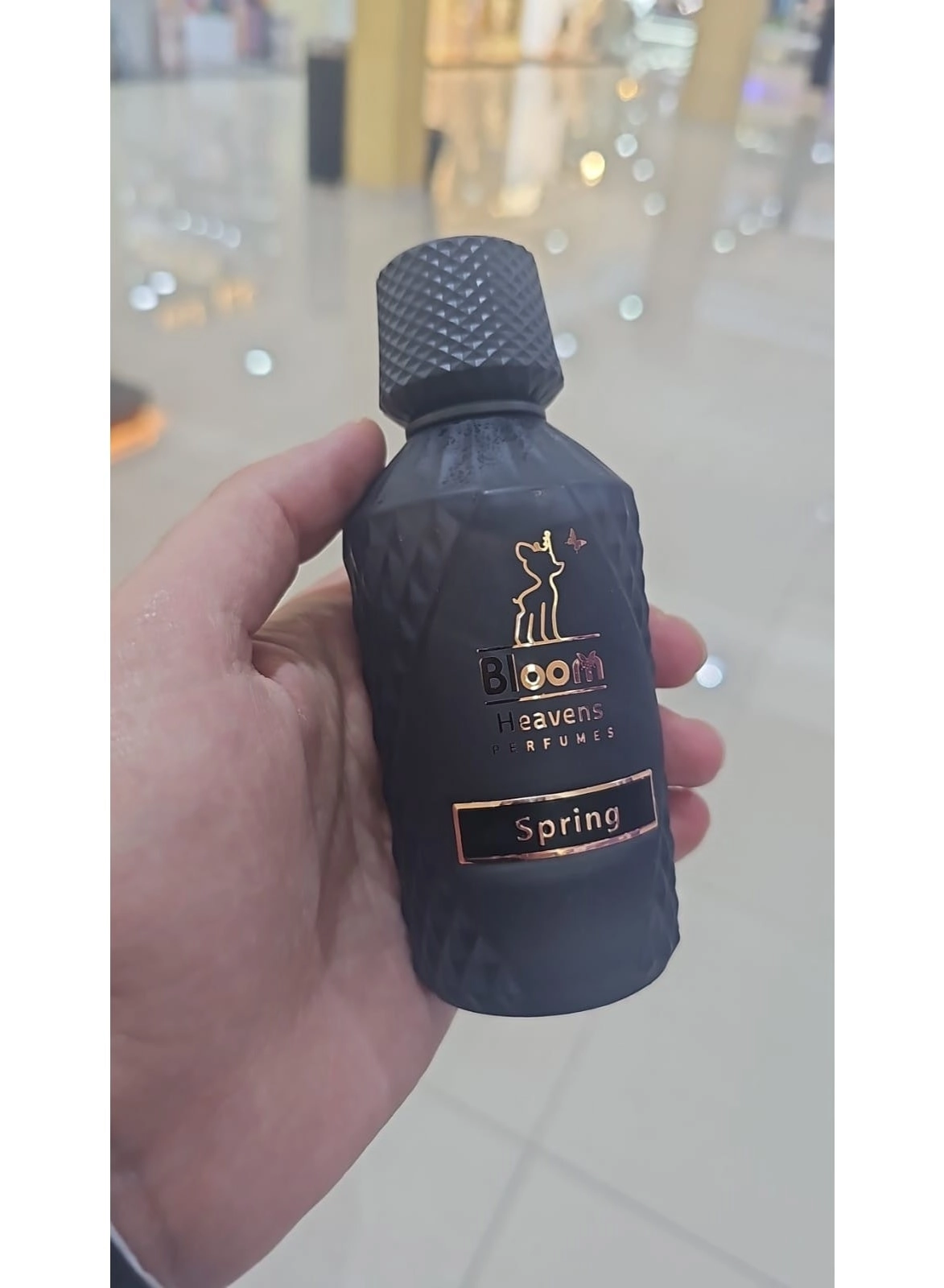 Heavens Collection - Eau de Parfum 100 ml
