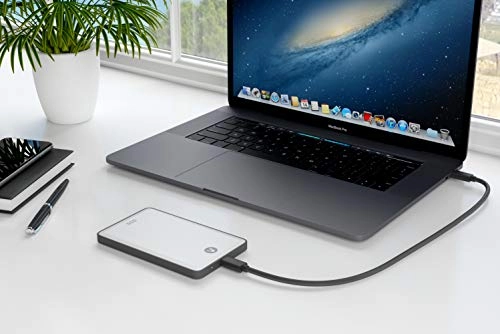 Rapid Portable Solid State Drive - 1TB