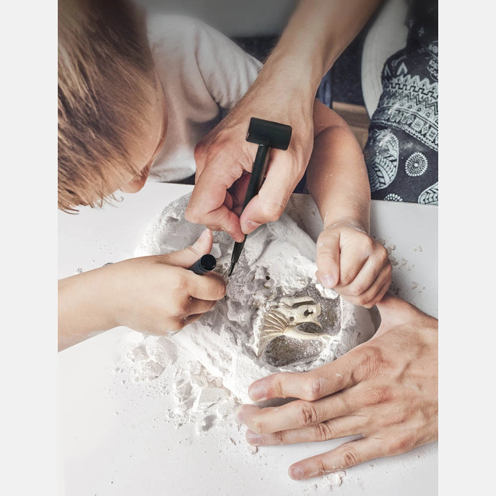 Revive A Pterosaur Dig A Dinosaur Kit - 6 years+