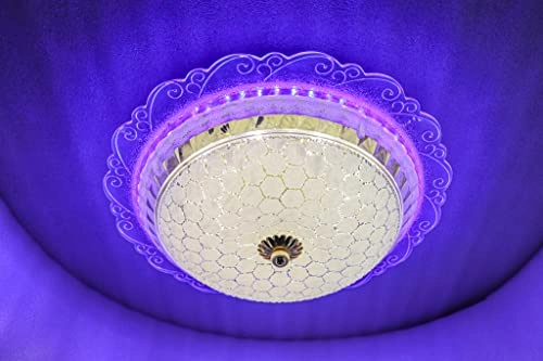 Modern LED Chandelier - 4000K Dimmable