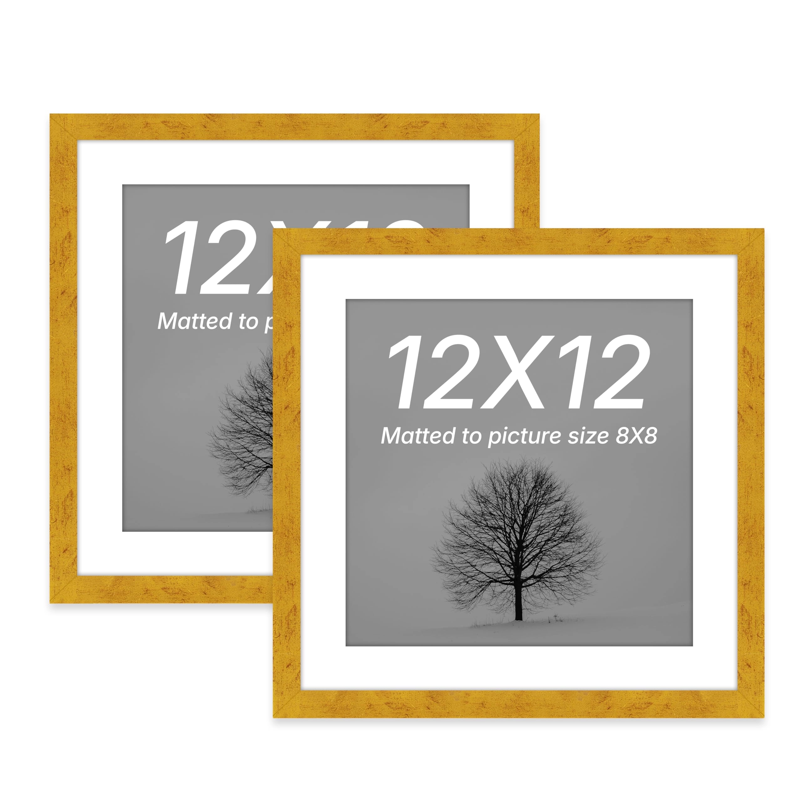 Edge Square Document Frame