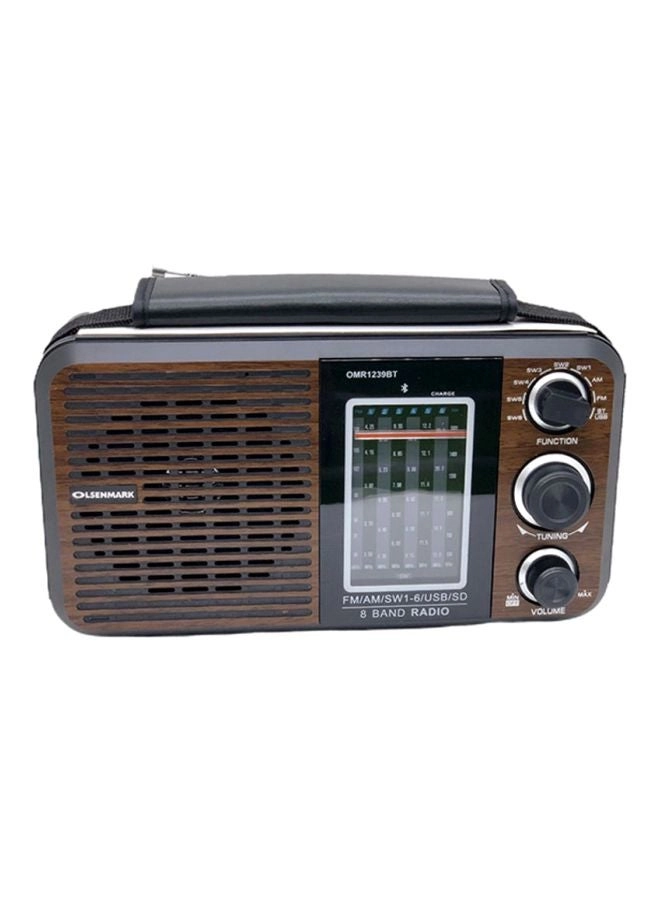 FM/AM/SW Radio & Music Player - Portable