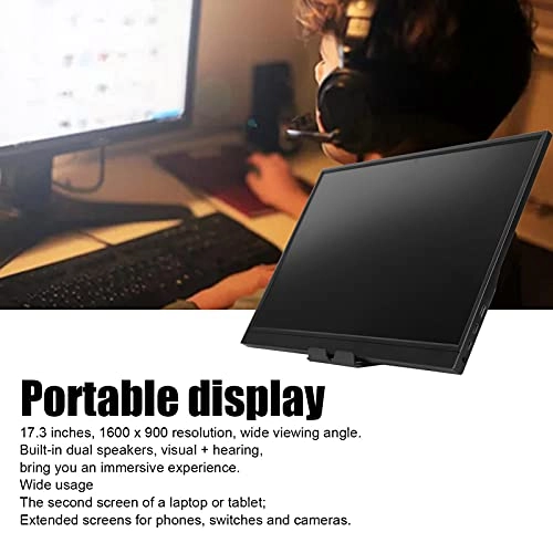 Portable Display - 1600 x 900 17.3-inch