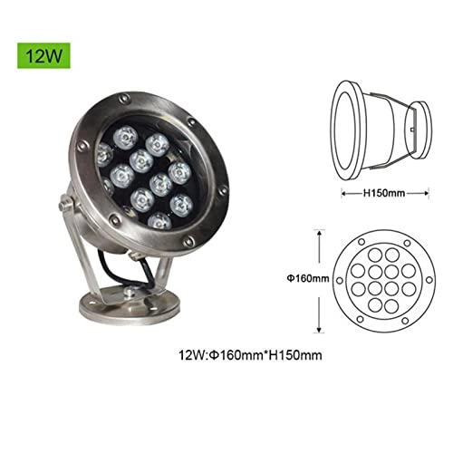 Underwater Led Lights - 12W IP68 Submersible
