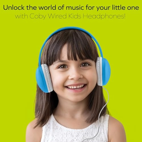 CVHK851BLU Wired Headphone