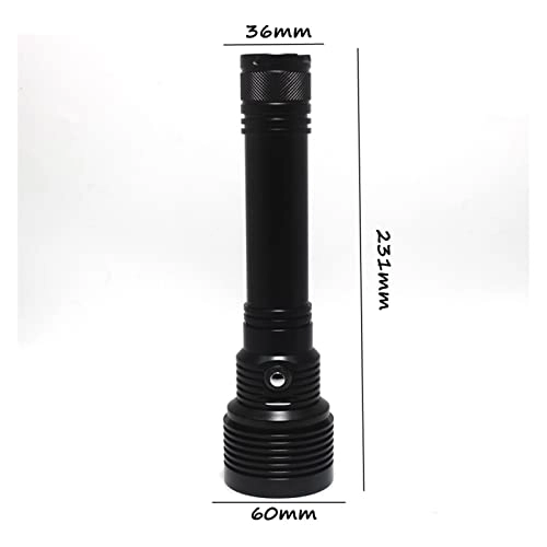 Professional Submersible Light