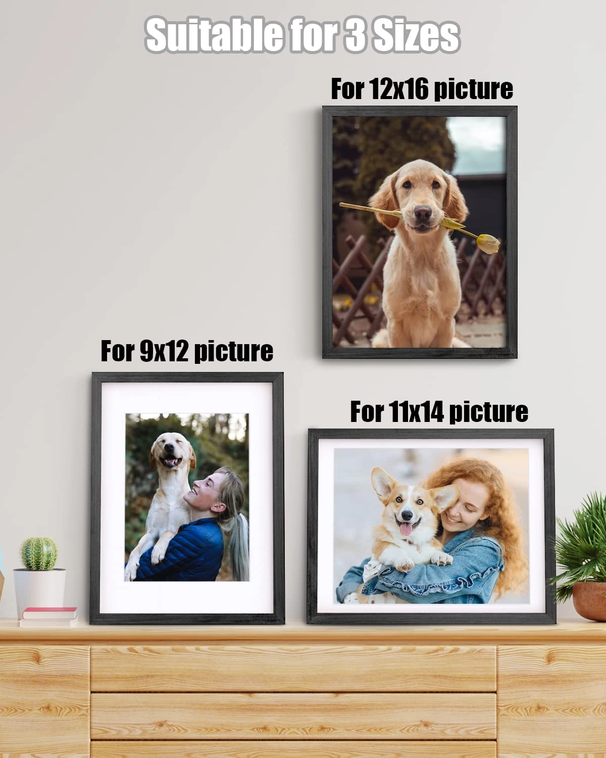 picture frames - 12x16