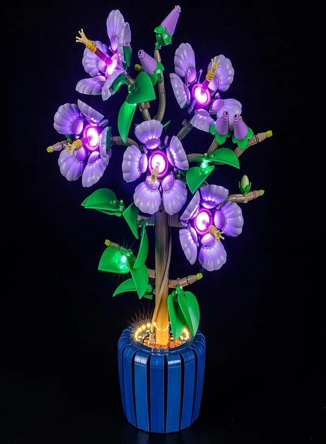 GEAMENT LED Light Kit - Lighting Set Botanical Collection 10372