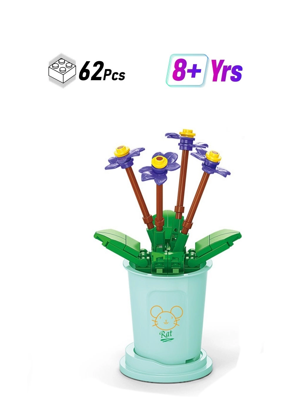 Loquat African Violet - Plant 62pcs