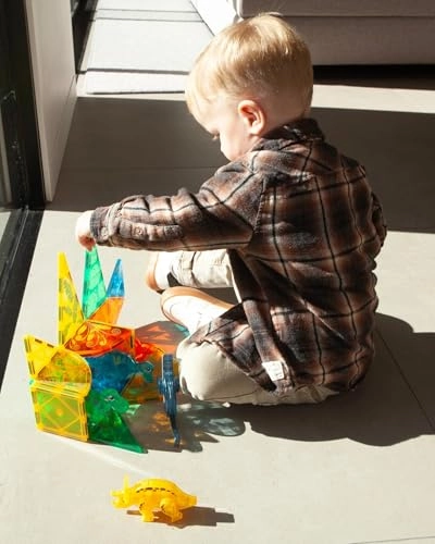 Dinosaur World Magnetism - 3 years+ 47 pieces