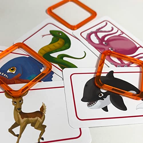 Concept Kids: Animals (Italian)