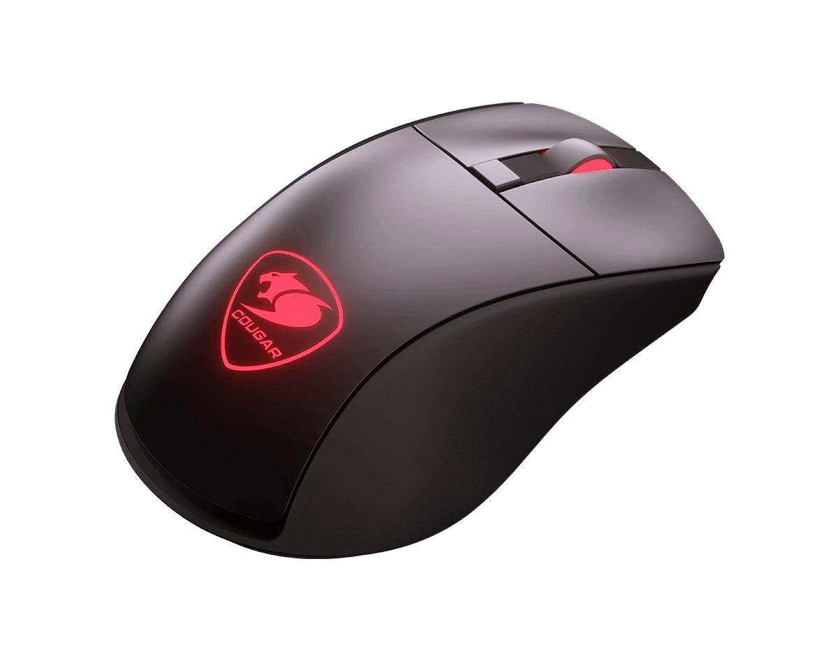 Surpassion RX - Wireless