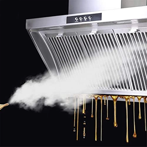 Steam Cleaner - 3.0 Bar 1 Liter