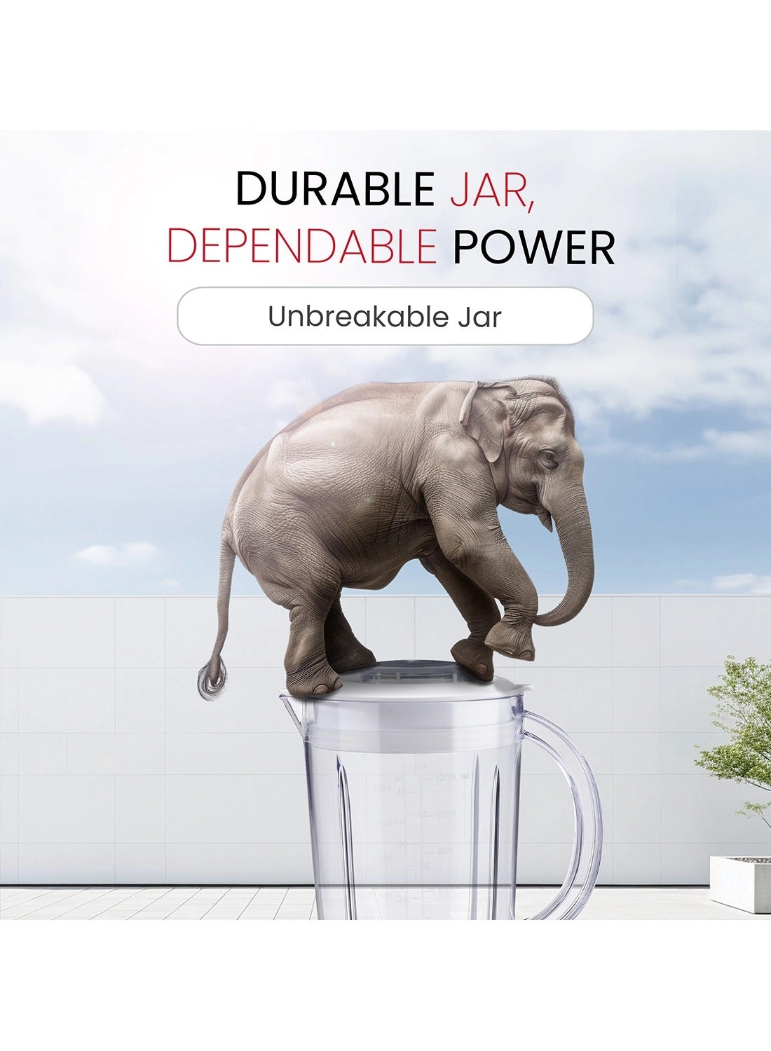 NB112L - 3 in 1 Blender with Grinder Cup & Chopper