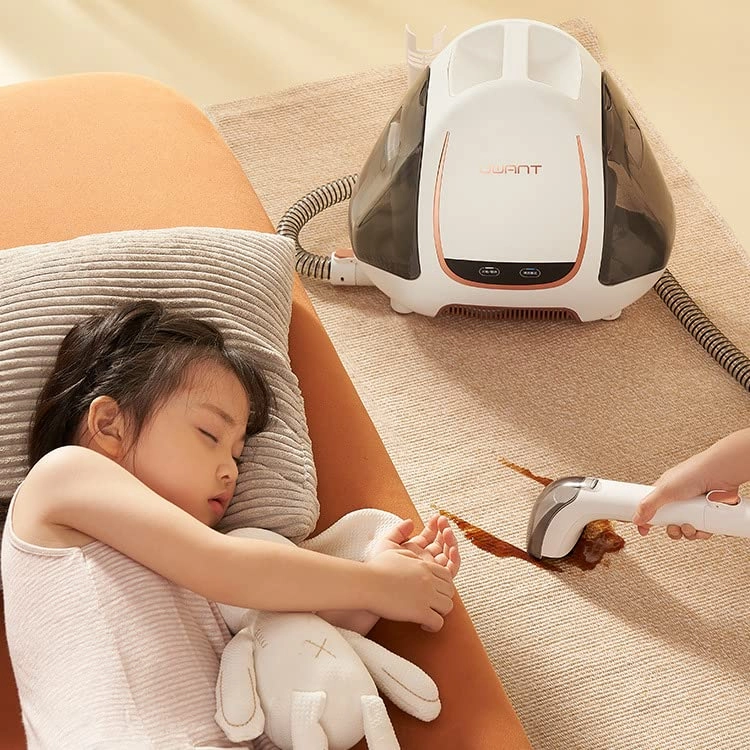 Portable Carpet Cleaner