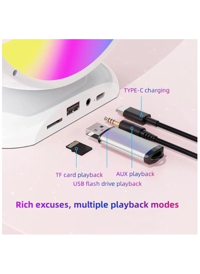 K12 - 2 Wireless Microphones