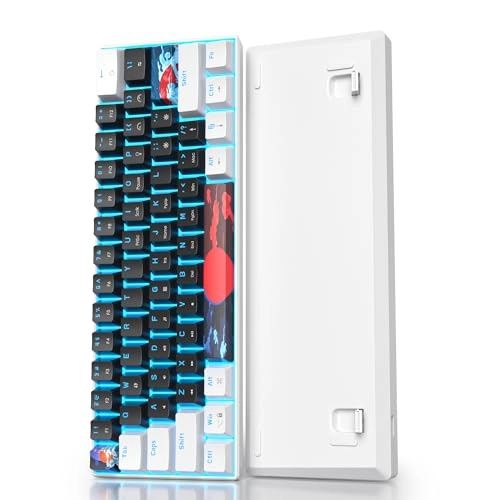 65 Percent Mechanical Gaming Keyboard - Wired