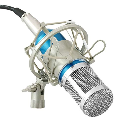 BM-800 USB+XLR Microphone