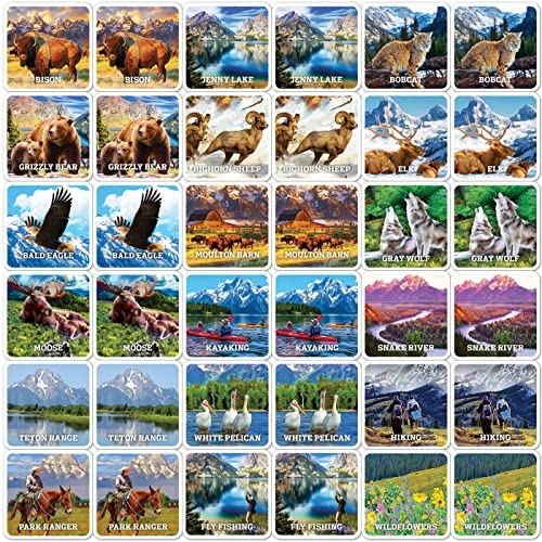 Grand Teton Matching Game
