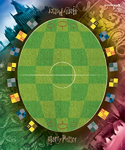 Harry Potter Quidditch Tournament