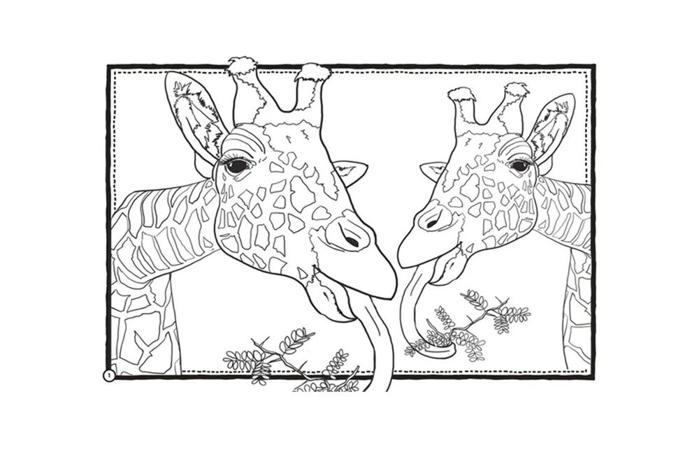 Mega Activity Pad Wild Animals - 6+